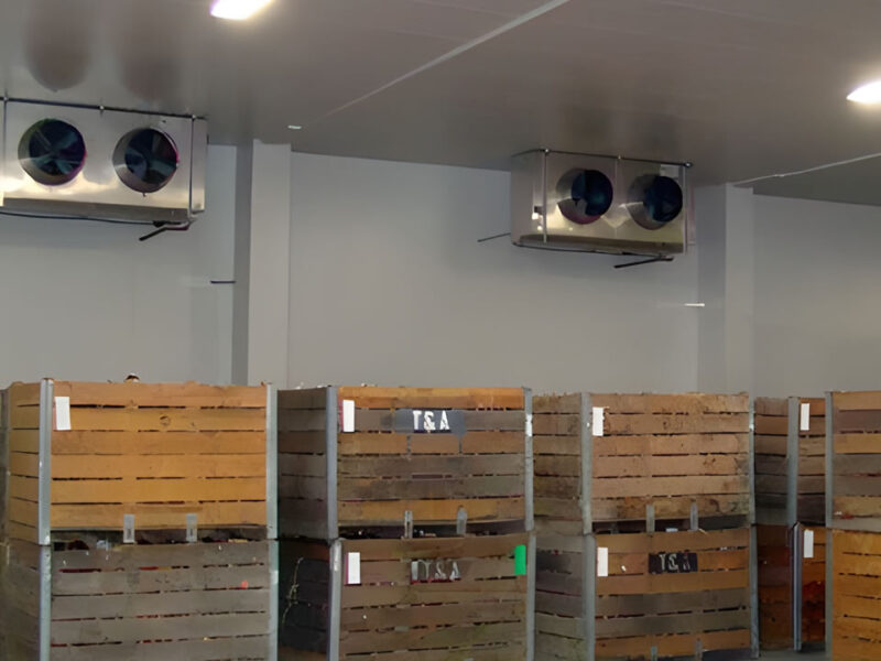 Instalación de cámaras para almacenamiento de cebollas